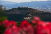 Castello di Petrata Country House