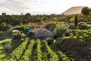 Monaci delle Terre Nere