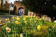 Ruthin Castle