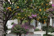 San Domenico Palace, Taormina, A Four Seasons Hotel