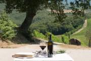 Wine Resort Villa Dievole